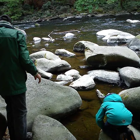 Rosstrappensicht דירה *