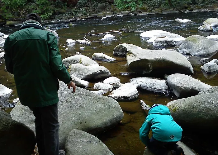 Rosstrappensicht Apartment *
